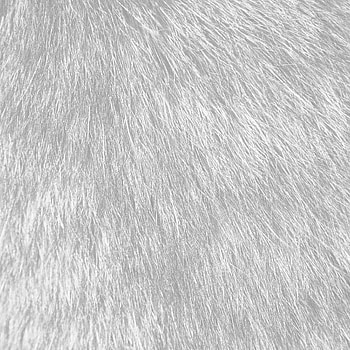White fur backgrounds, Elegant designs, Minimalist style, Luxurious texture HD phone wallpaper