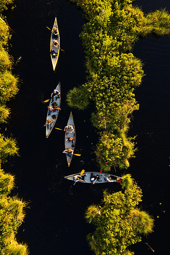 Sports, Rivers, Boats, View From Above, Kayaks HD phone wallpaper