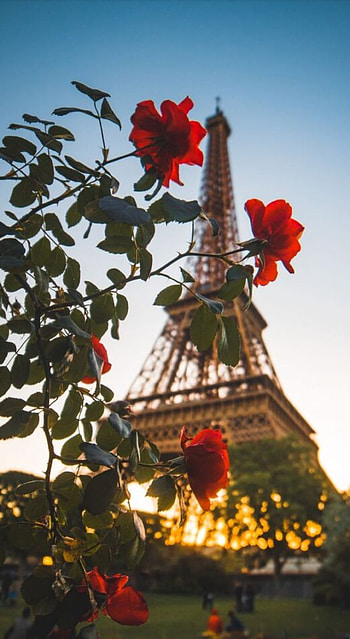 Eifell tower, red, sky HD phone wallpaper