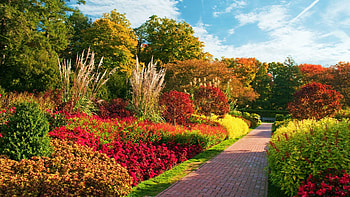 Colors of Summer, path, blossoms, clouds, trees, sky, park HD wallpaper