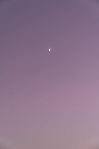Sky, Moon, Violet, Minimalism, Purple HD phone wallpaper