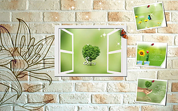 Postcards, Flower, Miscellanea, Miscellaneous, Wall, Ladybug, Ladybird HD wallpaper