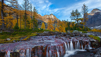 Rocky Stream,Lake O'Hara, Yoho National Park, Canada, Rocky Stream, Lake OHara, Yoho National Park, Canada HD wallpaper