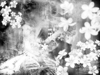 black life, beatiful, flowers, black, emo HD wallpaper