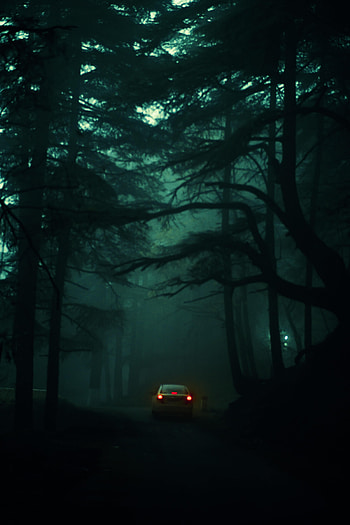 Trees, Dark, Fog, Car, Blur, Smooth, Darkness HD phone wallpaper
