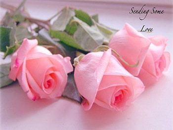 For our Miss Kate, pink, green leaves, roses, caring, dedication, three HD wallpaper