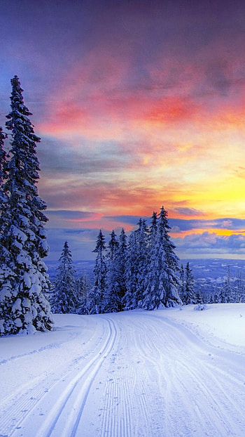 Winter wonderland, Snow-covered scenery, Frosty beauty, Chilly tranquility HD phone wallpaper