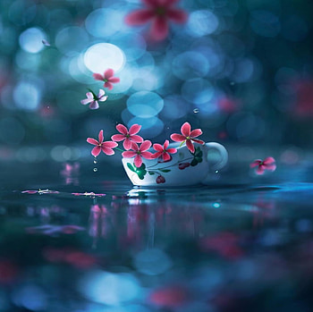 Still Life, petals, sky, spring, water, cup HD wallpaper