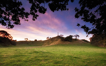 cornwall-park-dusk, trees, fields, outdoors, nature HD wallpaper
