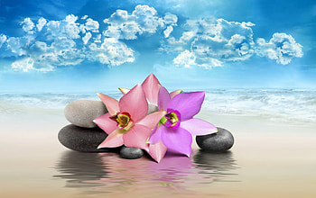Zen, sand, stones, beach, still life, waves, clouds, flowers, water, ocean HD wallpaper