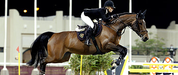 Edwina Tops-Alexander, Equestrian Sports HD wallpaper