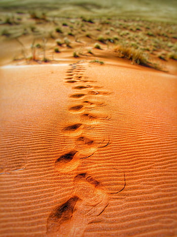 Explore a mesmerizing trail of footprints across a vast sandy desert landscape. HD phone wallpaper