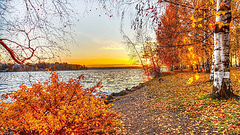 The beautiful autumn looks so beautiful and it gives an attracting look. What can be more attracting than a scene of this beautiful season captua HD wallpaper