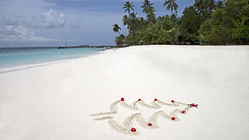 Christmas At The Beach HD wallpaper
