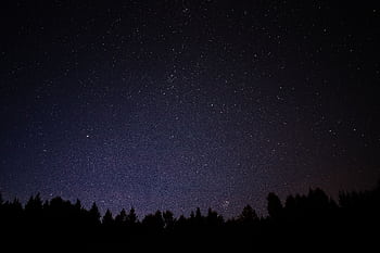 Capture of a starry night sky above a forest in Åmot, Hedmark, showcasing a serene celestial view. HD wallpaper