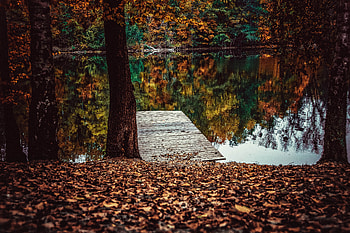 Pier, lake, fall, leaves, autumn, lake, reflections HD wallpaper