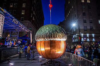 January events, Raleigh activities, Cultural happenings HD wallpaper