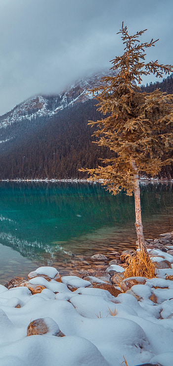 Lake Louise, Earth's beauty, Natural wonders, Captivating scenery HD phone wallpaper