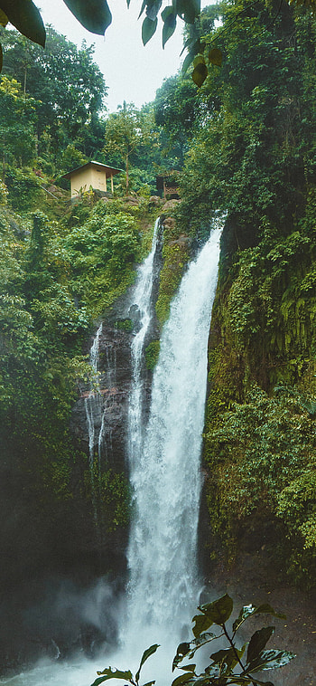 Waterfall oasis, Tranquil forest, Serene river, Nature's harmony HD phone wallpaper