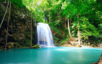 Tropical oasis, Enchanting falls, Lush greenery, Exotic destination HD wallpaper
