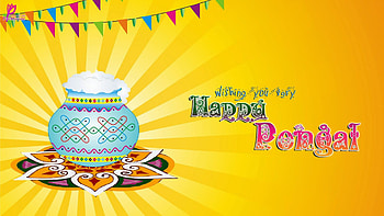 Wishing You Very Happy Pongal Yellow Background Pongal HD wallpaper