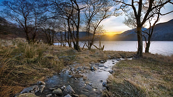 creek flowing into a lake at sunset, creek, trees, grass, lake, sunset HD wallpaper