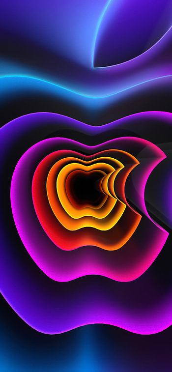 13, red, magenta HD phone wallpaper