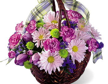 Basket of flowers for Cherie, colorful, bouquet, ribbon, soft, tulips, basket, purple, pink, nature, flowers HD wallpaper