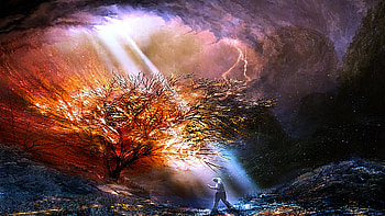 The Begining, gorgeous, warm, awesome, beauty HD wallpaper