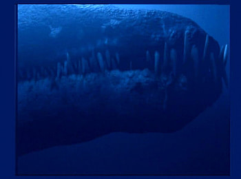 THE BIGGEST JAWES THIS WORLD HAS EVER SEEN, haha, glad i cant swimm HD wallpaper