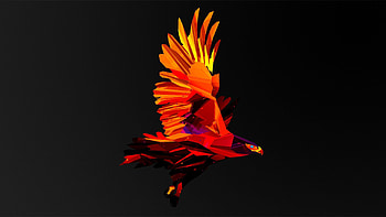 Eagle, Justin Maller HD wallpaper