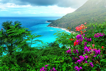 Beautiful Dominican republic, sea, palms, paradise, rocks, wild, mountain, wildflowers, view, trees, jungle, ocean HD wallpaper