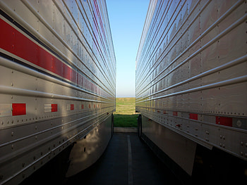 A Path to Peace, blue, white, grey, path, day, green, red, peace, semi trailers HD wallpaper