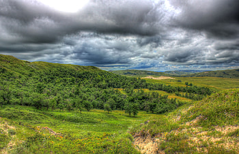North Dakota, Forest, Landscape, White Butte HD wallpaper