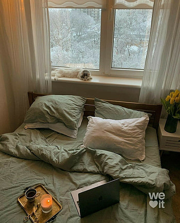 Green Bed, interior design, snow, cat, winter HD phone wallpaper