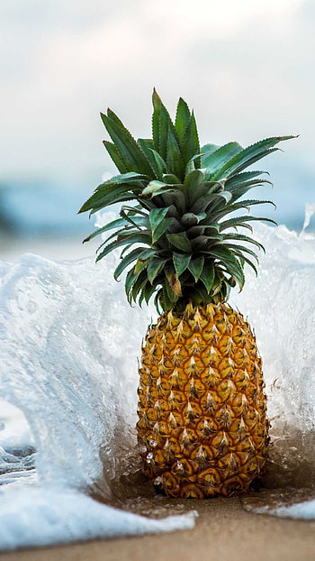 Juicy, , Pineapple, Fruits HD phone wallpaper