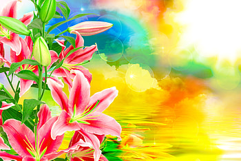 Lilies background, colorful, colors, beautiful, background, fantasy, pretty, flowers, lilies, lovely HD wallpaper