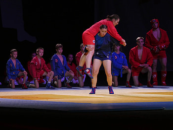 TAFISA World Martial Arts Festival, Sambo HD wallpaper