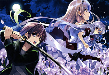 Fight, night, sword, anime, moon, weapon, girls, flowers HD wallpaper