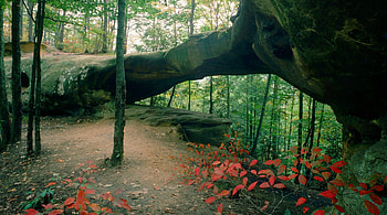 Stone Arch in the Forest, awesome, plants, vegetation, nice, day, trees, amazing, stone arc, stone arch, moss, beautiful, rock, leaves, arc, cool, stone, nature, leaf, foliage HD wallpaper
