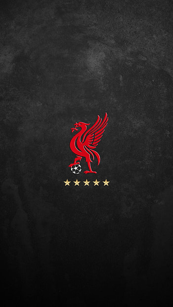 Liverpool Football Club, Reds in focus, Passionate fanbase, Immersive support HD phone wallpaper