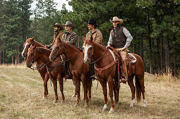 Yellowstone TV series, Review, The New York Times HD wallpaper