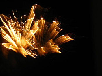 abstract HD wallpaper