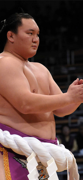 Sumo HD phone wallpaper