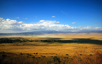 Nature, Rivers, Sky, Clouds, Field, Dahl, Distance, Shrubs, Shroud, Steppe, Scope, Spaciousness, Expanse, Savannah HD wallpaper