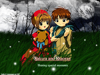 Untitled , sakura HD wallpaper