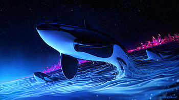 Dolphin Night Orca Whale Digital Art, dolphin, digital-art, artist, artwork, whale, deviantart HD wallpaper