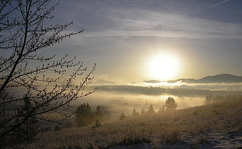 beautiful sunrise over a foggy valley, fog, hills, valley, sunrise, tree HD wallpaper