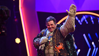 The Masked Singer, Schildkrte reveal, Fandom wiki, Reptilian talent HD wallpaper
