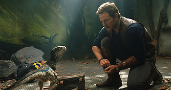 Chris Pratt And Little Raptor Jurassic World Fallen Kingdom , jurassic-world-fallen-kingdom, jurassic-world, 2018-movies, movies, chris-pratt HD wallpaper